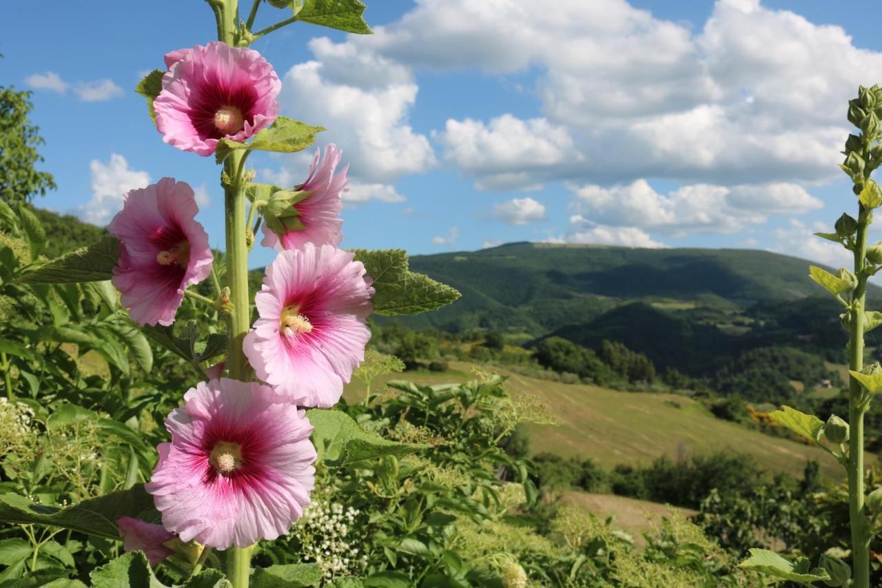 Bed & Breakfast Casa Lisetta Valtopina Kültér fotó