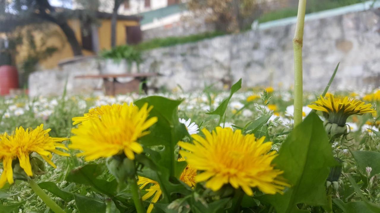 Bed & Breakfast Casa Lisetta Valtopina Kültér fotó