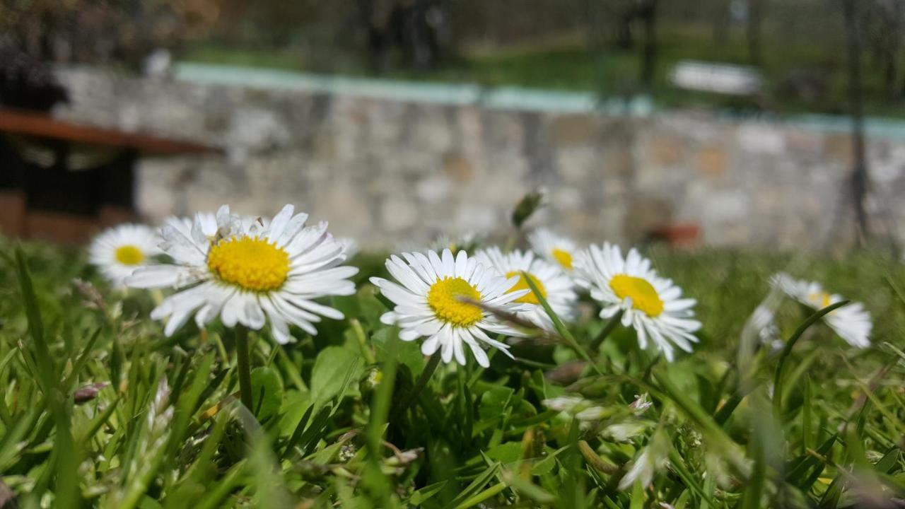 Bed & Breakfast Casa Lisetta Valtopina Kültér fotó