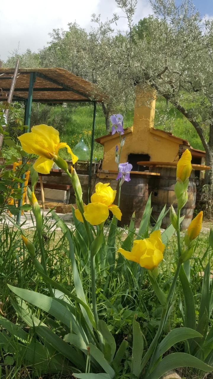 Bed & Breakfast Casa Lisetta Valtopina Kültér fotó