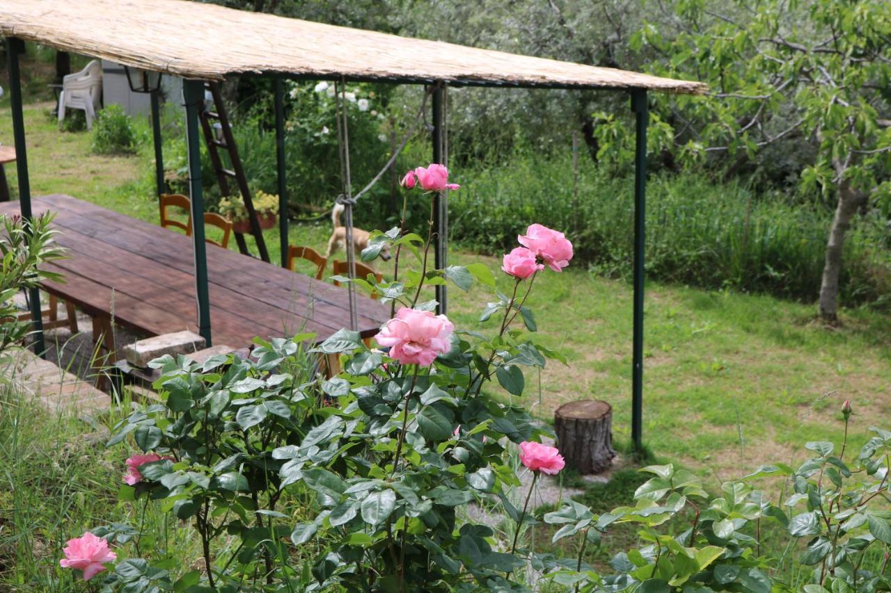 Bed & Breakfast Casa Lisetta Valtopina Kültér fotó